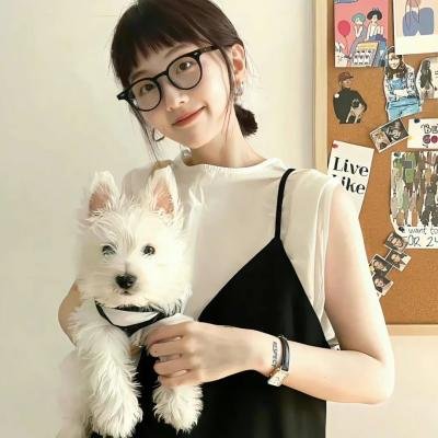 狮蚁